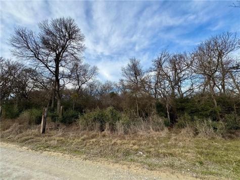 10075 River Ridge Drive Hearne TX 77859