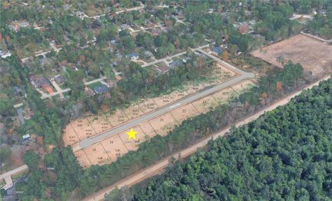 Lot 169 Indigo Way Porter TX 77365