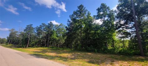 1143 County Road 6324 Dayton TX 77535