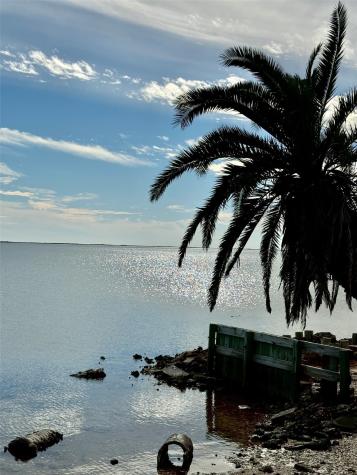 0 Sea Horse Drive Palacios TX 77465
