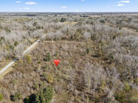0 Cr 165/ Holmes Cedar Lane TX 77415