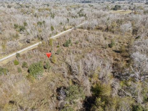 0 Cr 165/ Holmes Cedar Lane TX 77415