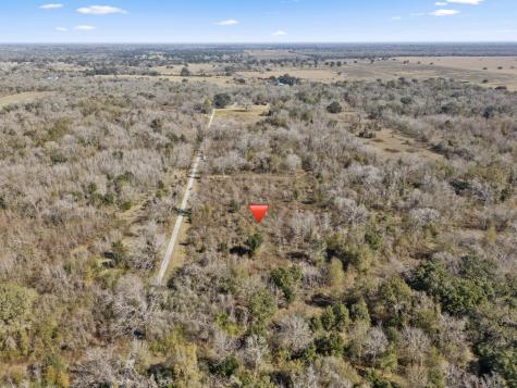 0 Cr 165/ Holmes Cedar Lane TX 77415