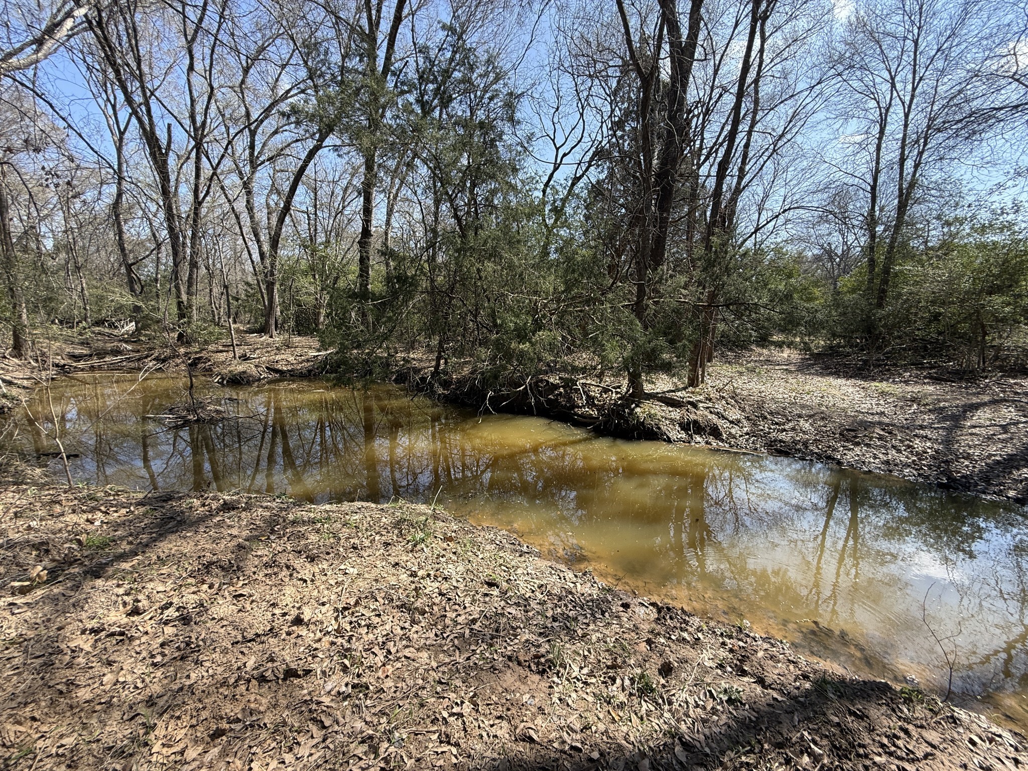 Tbd Tract #11 Fcr 445 Fairfield TX 75840