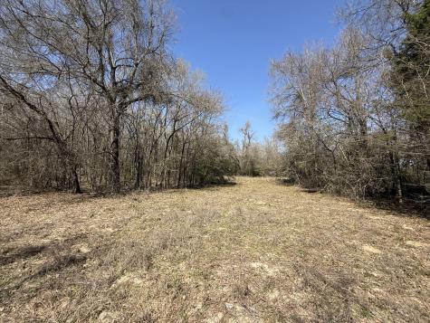 Tbd Tract #11 Fcr 445 Fairfield TX 75840