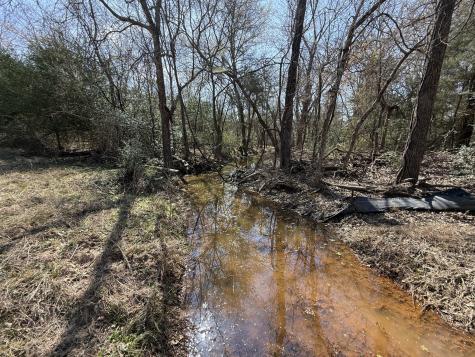 Tbd Tract #11 Fcr 445 Fairfield TX 75840