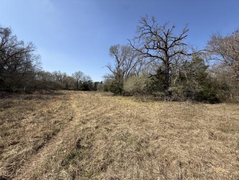 Tbd Tract #11 Fcr 445 Fairfield TX 75840