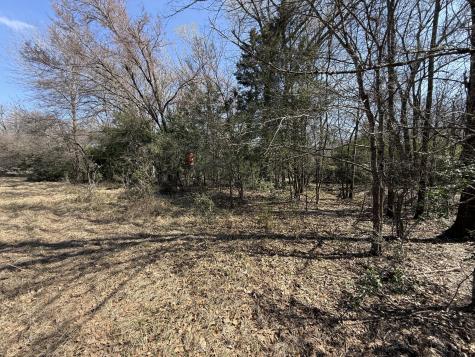 Tbd Tract #11 Fcr 445 Fairfield TX 75840