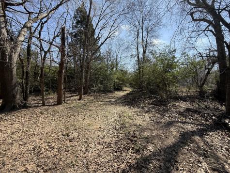Tbd Tract #11 Fcr 445 Fairfield TX 75840