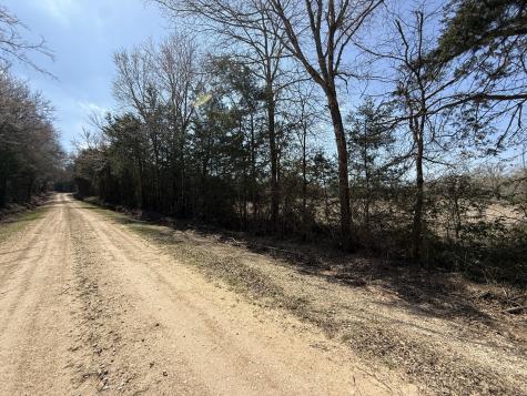 Tbd Tract #11 Fcr 445 Fairfield TX 75840
