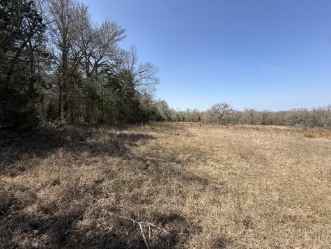 Tbd Tract #11 Fcr 445 Fairfield TX 75840