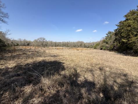 Tbd Tract #11 Fcr 445 Fairfield TX 75840