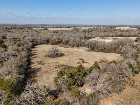 Tbd Tract #11 Fcr 445 Fairfield TX 75840