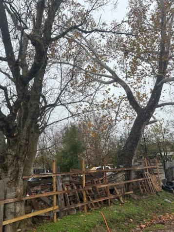839 Fortune Street Houston TX 77088
