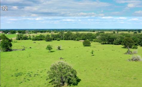 2880 Fm 2158 / Lot 5 Midway TX 75852