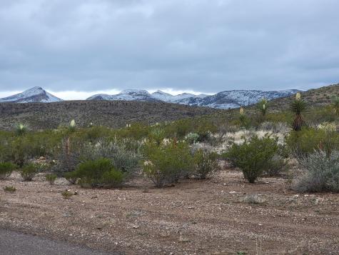 48421 Fm 2627 Alpine TX 79830