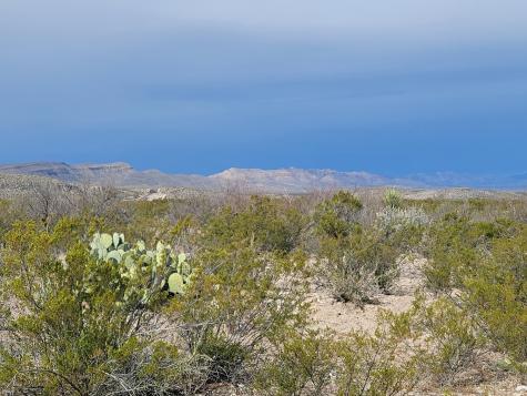 48421 Fm 2627 Alpine TX 79830