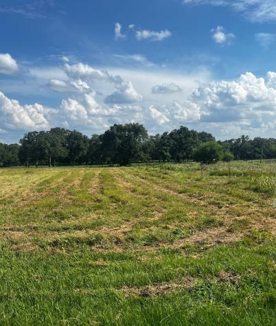 1134 J A Green Street Schulenburg TX 78956