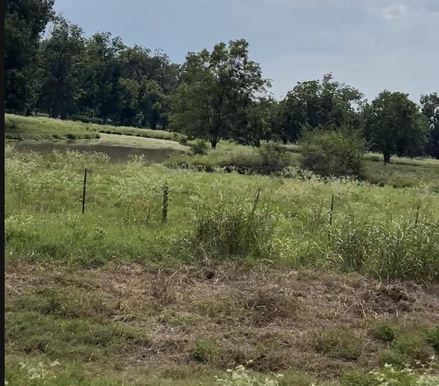 Tract #4 Fm 2548 Midway TX 75852
