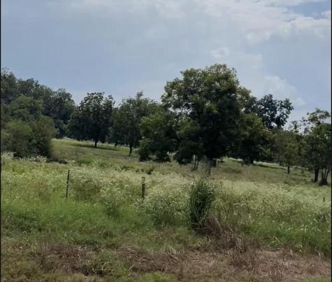 Tract #4 Fm 2548 Midway TX 75852