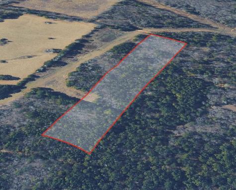 0 County Road 2484 Mineola TX 75773