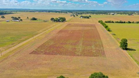 Tbd Belota Walla Road Plum TX 78952