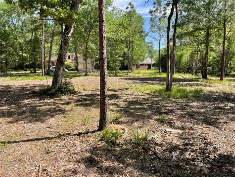 12 Timberglen Livingston TX 77351