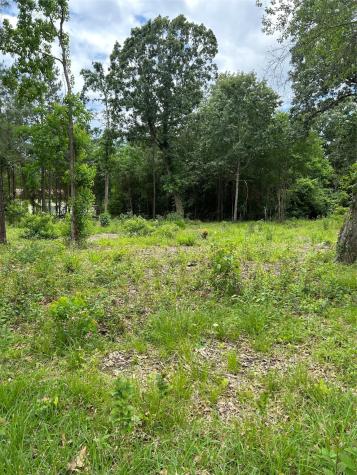 12 Timberglen Livingston TX 77351