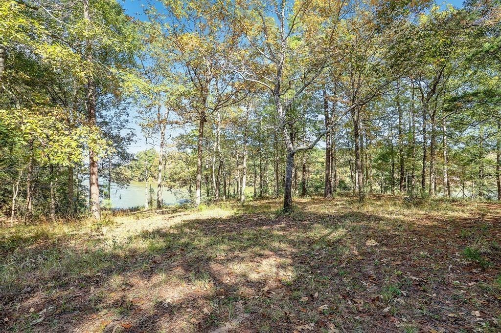 14948 Lot 10-11 Colt Lane Willis TX 77378