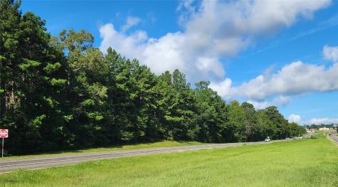 Tbd Us-190 W Livingston TX 77351