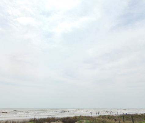 4013 Las Palmas Galveston TX 77554