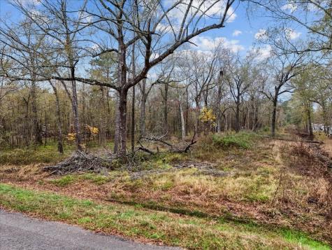 1209 County Road 2145 Cleveland TX 77327