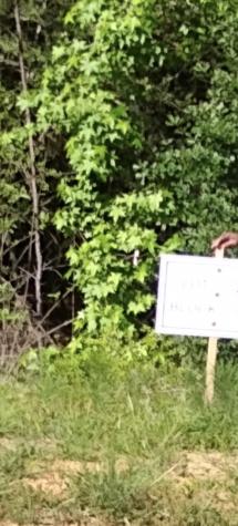 65 Coyote Run Road New Waverly TX 77358