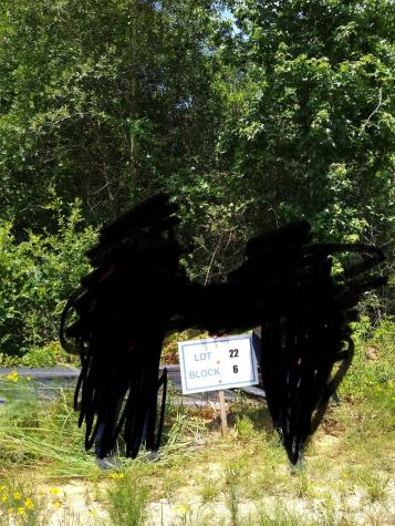 65 Coyote Run Road New Waverly TX 77358