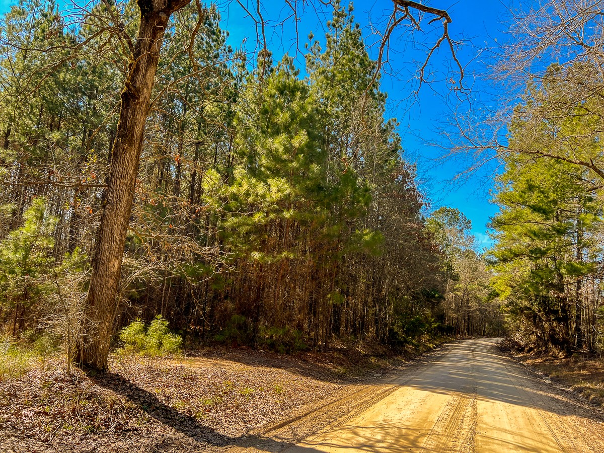 6 Union Springs Road Corrigan TX 75939