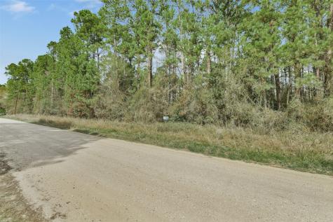 Lot 720 Sand Dollar Drive Livingston TX 77351