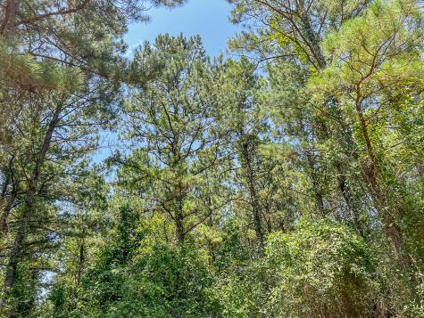 04 Creek 364e Zavalla TX 75980