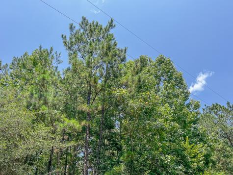 04 Creek 364e Zavalla TX 75980