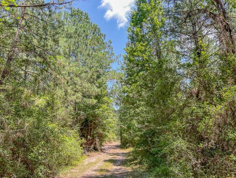 04 Creek 364e Zavalla TX 75980