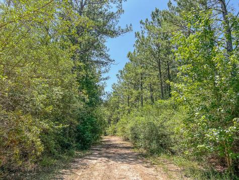 04 Creek 364e Zavalla TX 75980