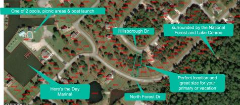 66 Hillsborough Drive Huntsville TX 77340