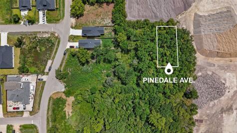 0 Pinedale Avenue Rosharon TX 77583