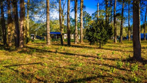 400 Hickory Street Cleveland TX 77328