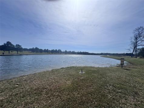 15576 Forest Grove Drive Willis TX 77378