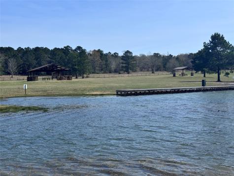 15576 Forest Grove Drive Willis TX 77378