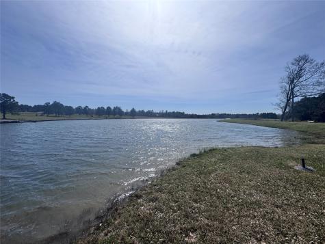 15576 Forest Grove Drive Willis TX 77378