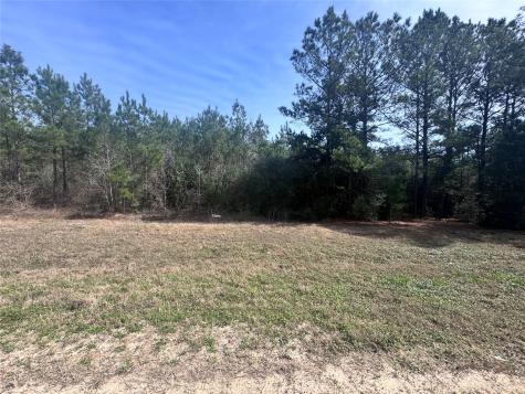 15576 Forest Grove Drive Willis TX 77378
