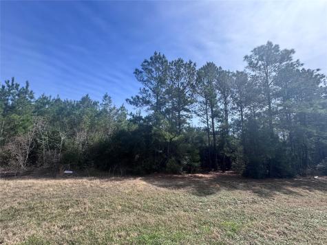 15576 Forest Grove Drive Willis TX 77378