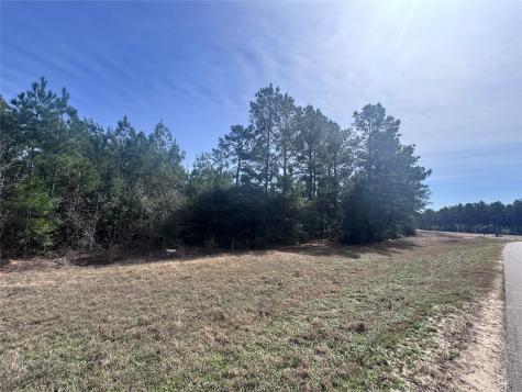 15576 Forest Grove Drive Willis TX 77378