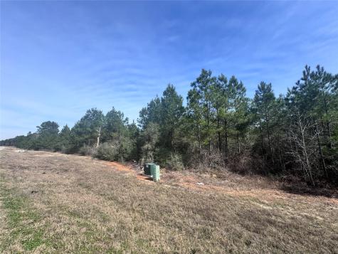 15576 Forest Grove Drive Willis TX 77378